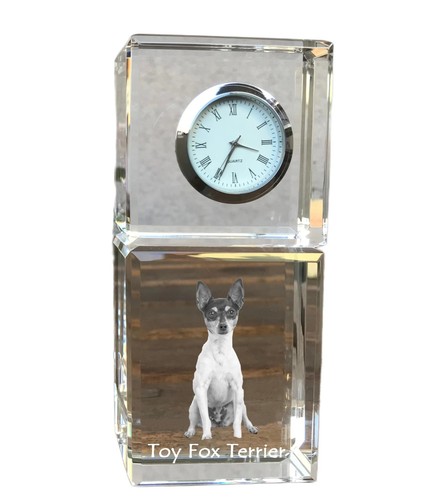 Toy fox terrier american - fox, terrier,