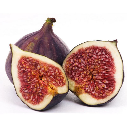 Ficus carica rouge de - carica,