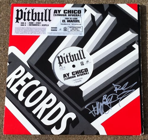 Chico pitbull signed auto - ay,