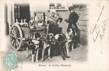 CPA EUROPE BELGIQUE ANVERS LA LAITIERE FLAMANDE ATTELAGE DE CHIENS