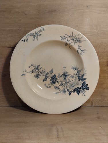 Assiette longwy mignon cm - assiette, 24