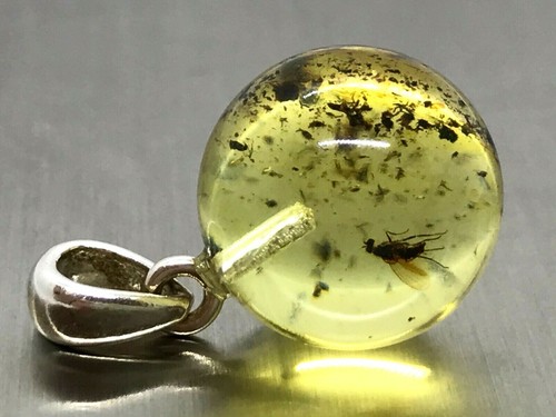 Pendentif ambre cadeau - ambre, insect