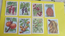 Les fruits lot 8  images écolier  éditions éducatives série B (5,5cm/7 cm)