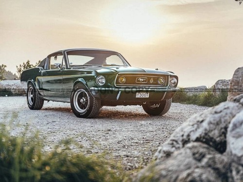 Photo ford mustang fastback - photo,