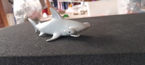 Animal requin mer ocean - animal,