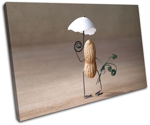 Peanut girl parosol - peanut,