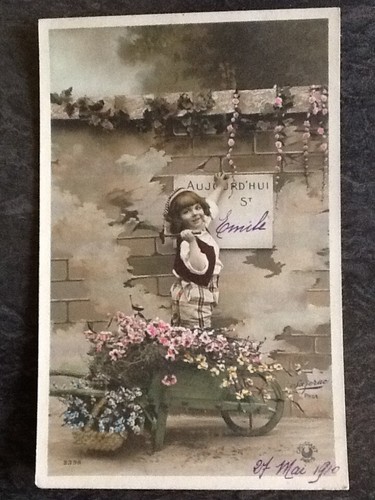 Enfant dans brouette fleurs - brouette,