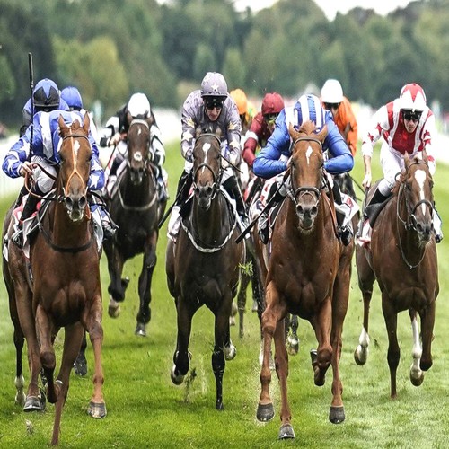 Methode turf un cheval - ,