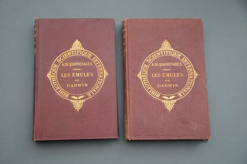 Paléontologie transformisme - paléontologie,