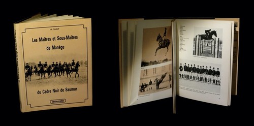 Cheval chevaux equitation - [cheval,