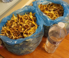 Champignons CHANTERELLE