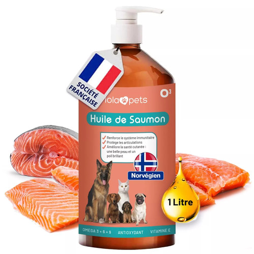 Huile saumon pour chien et - pour,