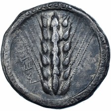 Lucanie, Nomos, ca. 510-470 BC, Métaponte, Argent, TTB, HGC:1-1028