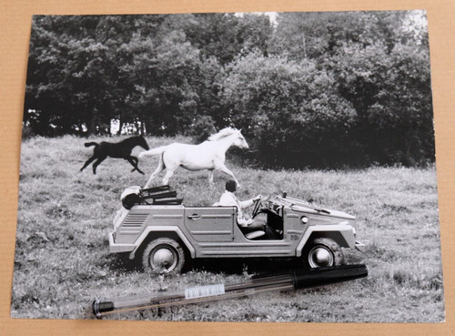 1975 181 thing photo - vw,