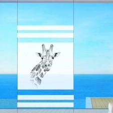 Feuille de Protection Vue Film