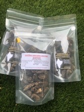 50 Grs De Morilles Spéciales
