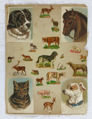 Chromo ancien chiens chat - chromo,