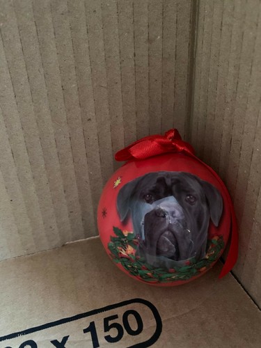 Boule noel chiens chats - boule, ou