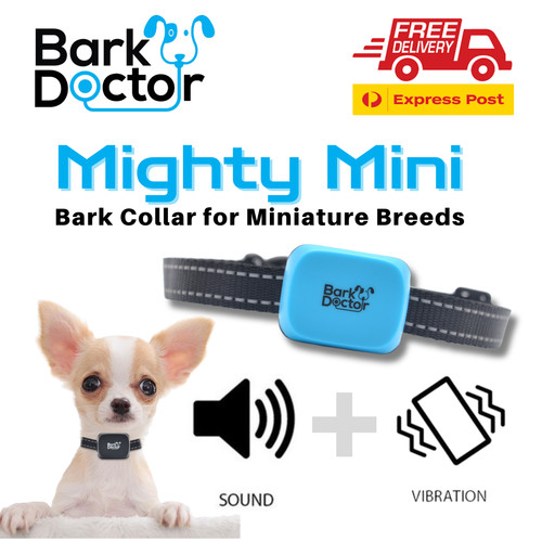 Aus bestseller bark doctor - bestseller,