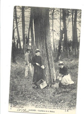 Ancienne carte postale Landes