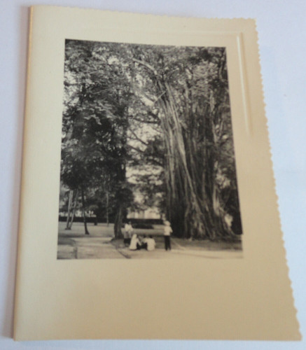 Carte photo indochine - d'indochine, joyeux