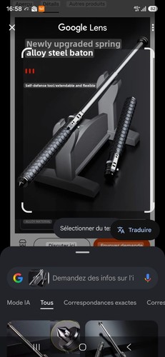 Bâton télescopique