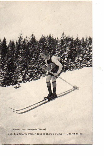 Course ski telemark dans le - telemark,