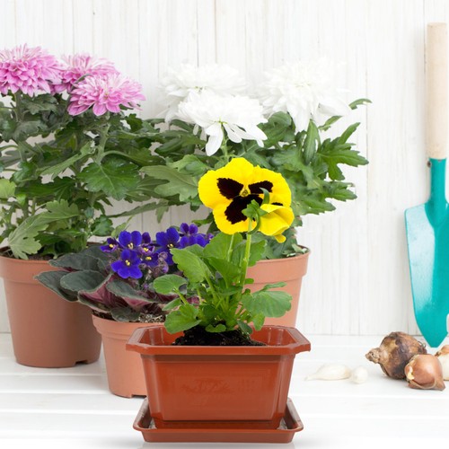 Sets pot jardinière - jardinière, pour