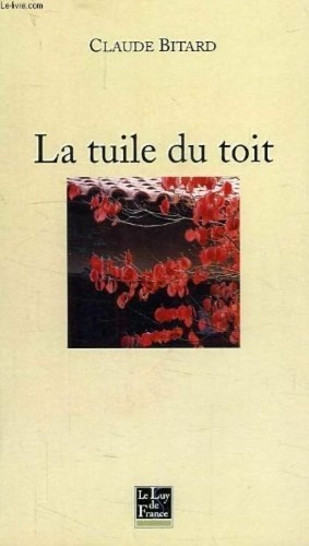 Tuile toit broché - toit, [broché]