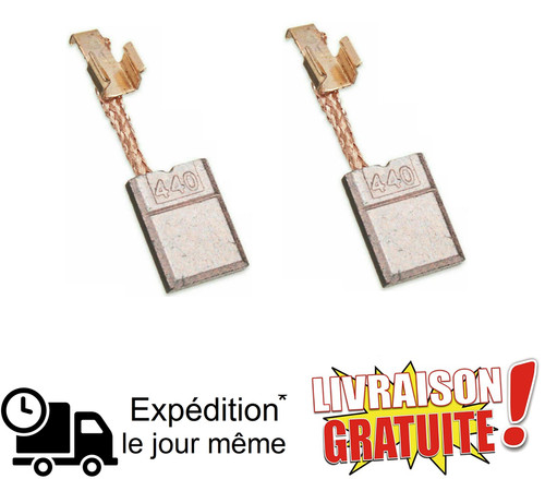 Balais charbon pour - balais,