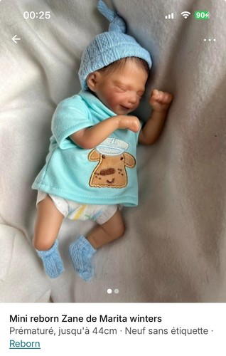Mini reborn - mini,