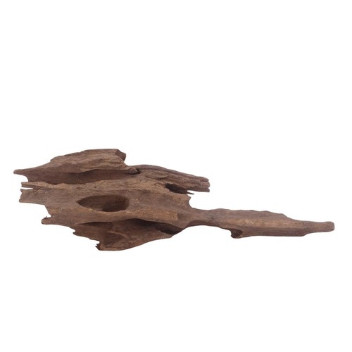 Honey peigne racine 3024 - l,