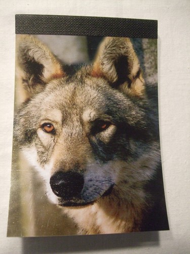 Carnet aimanté feuilles - aimanté,