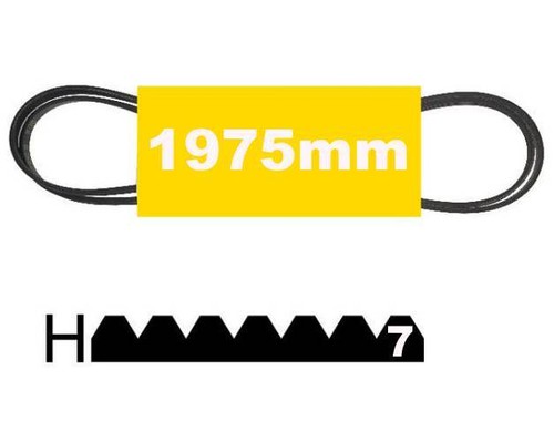 Courroie 1975h7 poly 1975mm - poly,