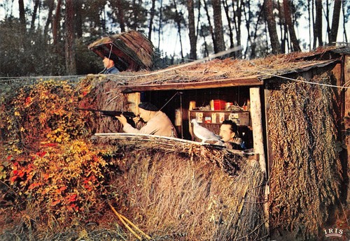 Les landes une - 40-les,