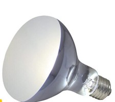 ZOOMED - AMPOULE CHAUFFANTE POWERSUN UV PUV10 POUR TERRARIUM - 80