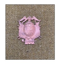 Insigne Gendarmerie Douanes