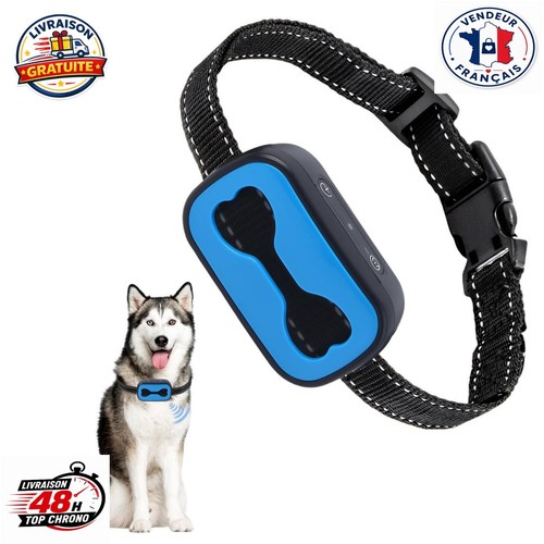 Collier anti aboiement - aboiement, chien
