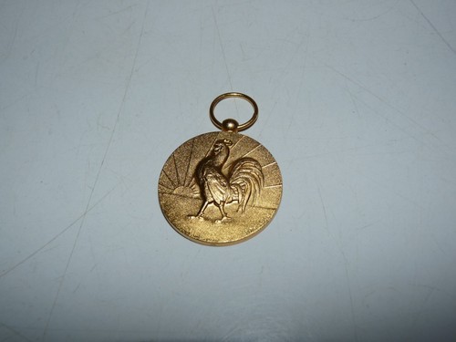 Médaille coq renaissance - coq,