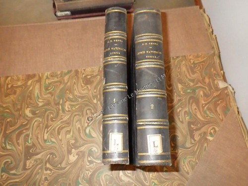 1855 juris naturalis - naturalis, summa