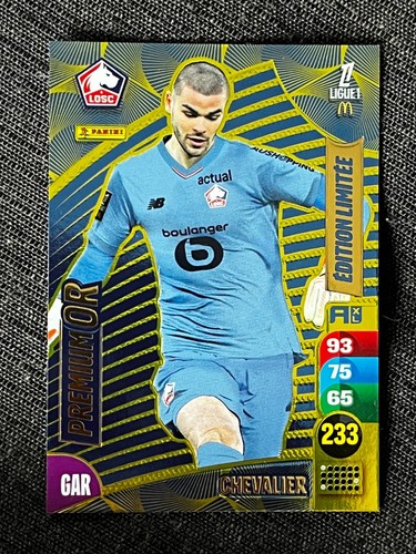 Card panini adrenalyn - card,