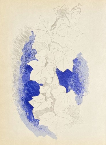 Georges braque lithographie - georges,