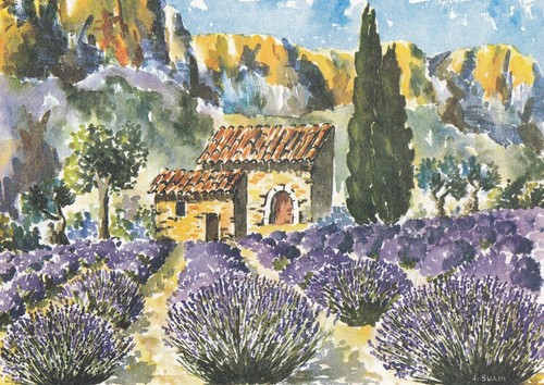 Carte postale postcard 10x15cm