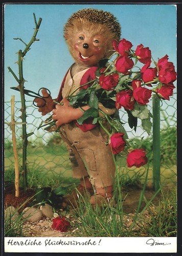 Carte postale mecki - mecki, un