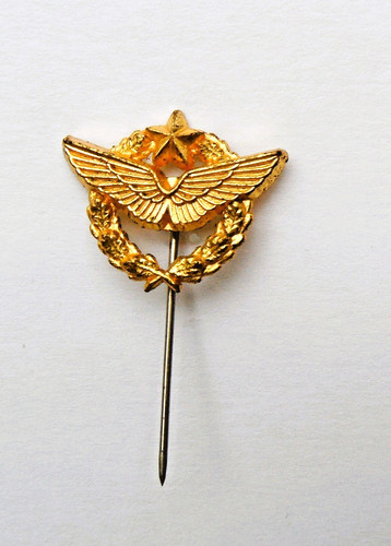 Epingle doré or - l'or, fin