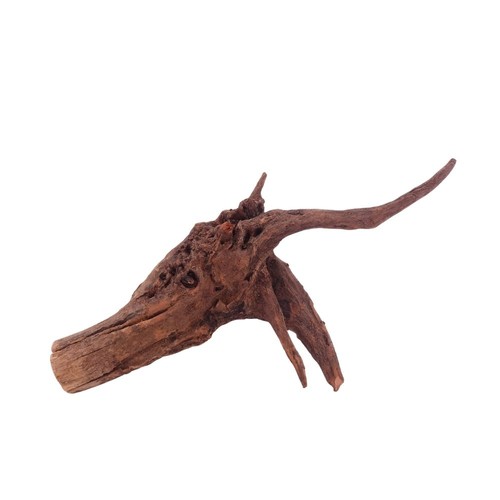 Aquaone driftwood racine de - aquaone,