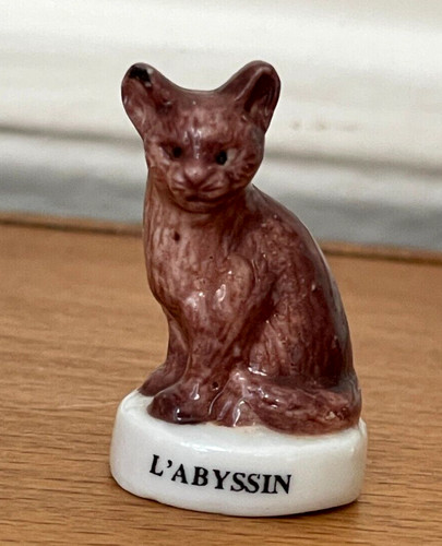 Fève chat abyssin - chat, ❤️