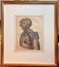 Ancien Estampe Gravure