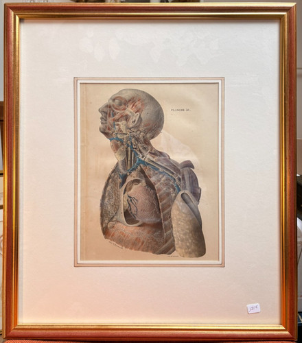 Ancien estampe gravure - estampe,