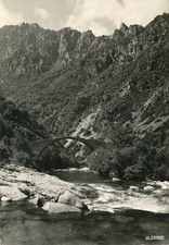 *20365 cpsm Evisa - Pont